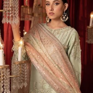 Elegant Chiffon and Zari Organza Ensemble