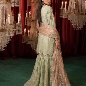 Elegant Chiffon and Zari Organza Ensemble